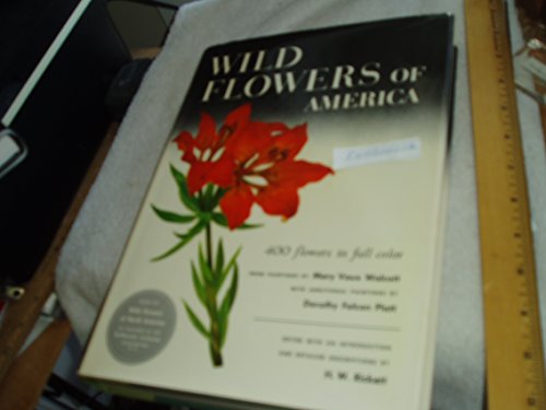 Cubierta de «Wild Flowers of America (Tiny Folio)»