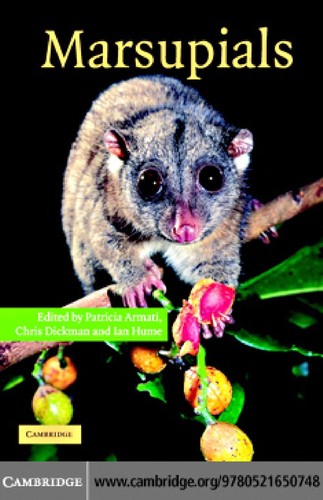 Cubierta de «Marsupials»