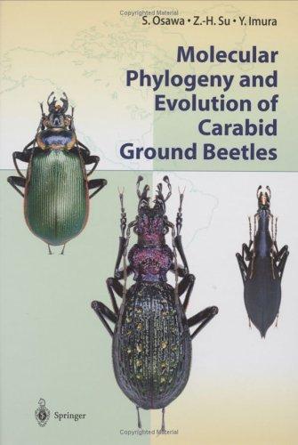 Cubierta de «Molecular Phylogeny and Evolution of Carabid Ground Beetles»