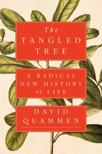 Cubierta de «The tangled tree»