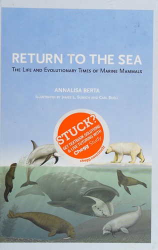 Cubierta de «Return to the sea»