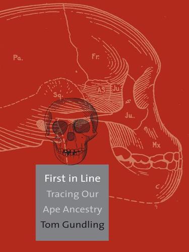 Cubierta de «First in Line»