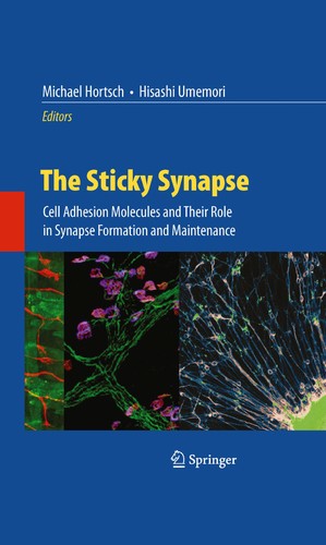 Cubierta de «The Sticky Synapse»