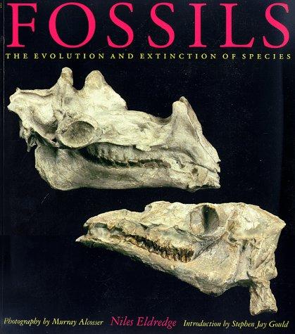 Cubierta de «Fossils»