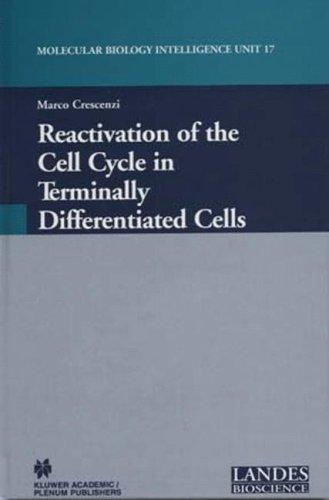 Cubierta de «Reactivation of the Cell Cycle in Terminally Differentiated Cells (Molecular Biology Intelligence Unit, 17)»